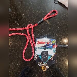 Dog Leash And Bandana Set